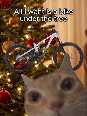 Is it too much to ask for?  🥹👉👈 #trekbikes #trekslash #mtb #mtblife #cycling #cyclinglife #bikelife #xmas #meme #catmeme #underthetree #biking #mountainbike #giftidea