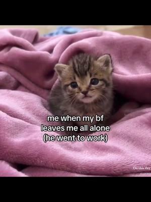 because why you leave me 😓😞 #gf #girlfriend #bf #boyfriend #Relationship #relatable #couple #couplestiktok #catcouple #sadcat #catmeme #cryingcat #cat #kitten #kitty #meow #kittykanajo #ilovemybf #ilovemygf #onthisday 