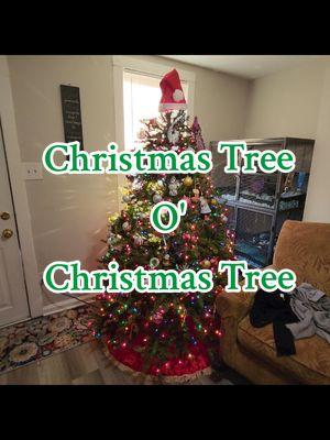 #tahneerae827 #tahnee #tofw #christmas2024 #christmastree #fyff #homeforchristmas #showlove #magic 