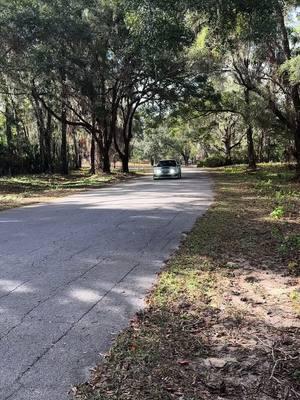 No its not an AMG but the view is beautiful 🙂 #hatch #wrx #wrapped #wheels #lowered #static #chrome #subaru #wrxhatch #tinybot #florida #rainbowsprings 