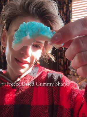 #freezedriedcandy #freezedried #gummysharks #asmrsounds #tastetest @Simply Sweet CLE LLC 