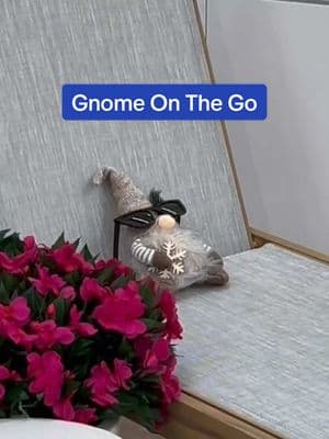 This guy has taste 😏 Catch our Gnome On The Go as he scopes out the best home finds #roomstogo #gnome #furnitureshopping #homedecor 