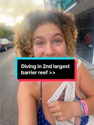 The fact that this was my first dive ever… absolutely unbelievable I just have no words. Wow. Just wow #travelinyourtwenties #solotravel #carribean #cozumelmexico #scubadiving #scubatiktok #barrierreef #greatbarrierreef 