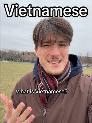 Vietnamese might be the coolest language of all time, so let’s learn more about it and its fascinating linguistic history! #vietnam #language #asia #history #LearnOnTikTok #interesting #didyouknow #vietnamese 