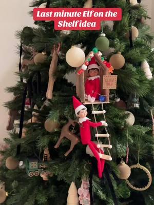 Some last minute, easy elf on the shelf ideas!  ##elf##elfontheshelf##elfontheshelfideas##elfontheshelfchallenge##elfontheshelfinspiration##easyelfonashelfideas##easyelfontheshelf##quickelfontheshelfideas ##christmas##christmascountdown##christmastime##christmastiktok##christmastok##christmasdecor##christmasgiftideas##christmasgiftwrapping##giftwrap##giftwrapping##holiday##holidaycountdown