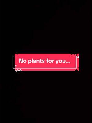 I deserve flowers! But actually I should not have them… #fyp #foryou #flowers #fake #fakeflowers 