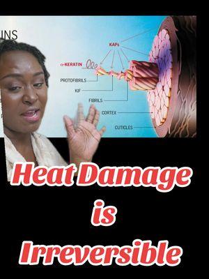 Replying to @dshanaejewelry We are going to have to get those ends off if they are damaged from heat. #bigchop #protectivestyling #heatdamage #naturalhairtips 