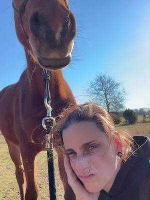 Apollo ENB  2022 Bay Arabian colt  Sire by Aria Rakeem and  out of Aphrodite ENB. My gentle giant colt. He’s the sweetest thing ever #horses #blessed #arabainhorse #hardworkpaysoff #thebestisyettocome #thestorysofar #trusttheprocess #barrelracing #barrelracer #equestrian #horse #horses 