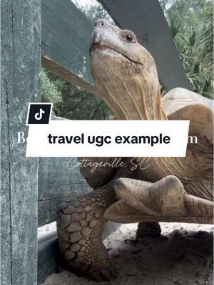 #ugcexample #ugctravel #ugcexamplevideo #ugctravelcreator #travelugc #travelugccreator 