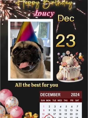 #CapCut  #birthdaygirl #decemberbaby #dec23 #pugs #fyp #california #pugsoftiktok #joucy #puglife #pet #dogsoftiktok #puppy #puglove #puglover #foryoupage #furbaby #pug #pinoypug 