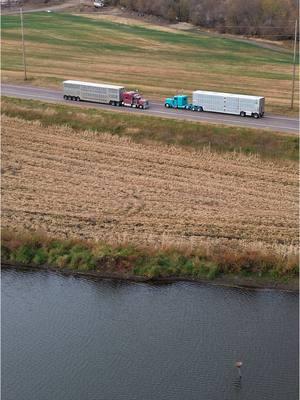 Turns out my wrapping skills aren’t that good. Have a great Christmas!  #ihlentrucking #peterbilt #iowa #dji #piggies 