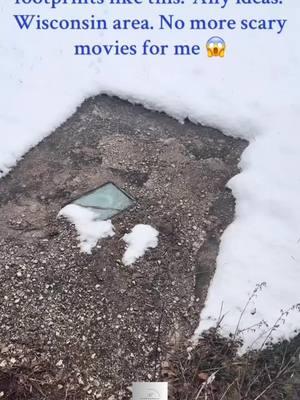 Chilling footprints litter the ground, their unnatural patterns sparking questions. Have extraterrestrial visitors descended from the skies to roam the earth? Video @StephanieVorwaldAuthor  #theparanormalchic #alien #animaltracks #footprint #tracks #ufology #paranormal #paranormalinvestigation #author #wisconsin #weird #aliensarereal #ufo #fyp 