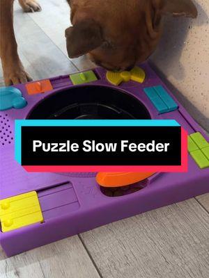 Got a pup that eats too fast? Get them this fun colorful slow feeder! Great for treats also! #frenchie #pet #slowfeeder #cutedog #cutedogsoftiktok #frenchbulldog #bully #doglover #cutefrenchie #TikTokShop 