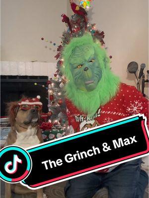 Mr.Grinch & Max#doglover #TikToktrend #skaterdog #skaterdog #grinch #pet #dogoftiktok #christmas #viralvideo #tiktokphilippines🇵🇭 #viralvideo 