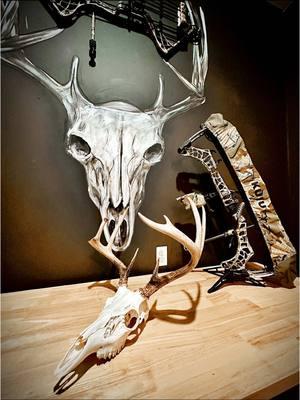 Whitetail Euro Mount. #whitetail #hunt #meateater #deer #bowtok #archery #alaskalife #bigbuck #eauromount #dirtydrifter #hunting #alaskanartist #Godisgood # 