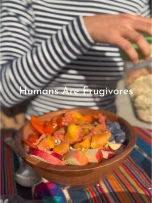 Humans are Frugivores🥑 Visit www.aliasherbals.com for more details on our shop’s offerings🌿 #frugivore #fruitarian #rawvegan #naturalhygiene #plantbased #fruit #vegan #holistichealth #wellnesstips #fyp #foryoupage #livingfoods 