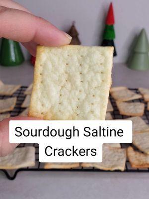 Making Christmas Crack with my sister she said "you could do these with sourdough crackers." I loved that idea. So we made up a batch of sourdough saltine crackers and made a second batch of Christmas Crack with them.  #sourdough #sourdoughcrackers #sourdoughsaltinecrackers #sourdoughrecipe #christmascrack #HolidayTreats #crackerrecipe #sourdoughdiscard #saltinecracker #madefromscratch 