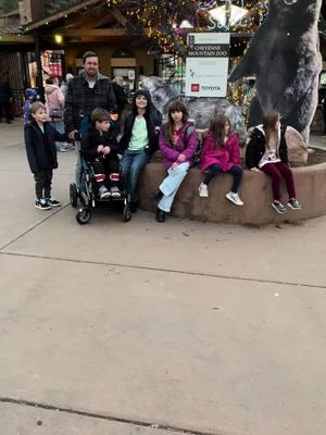 #ChristmasMemories #ChristmasTraditions #CheyenneMountainZooLights #ZooChristmasLights #BigFamilyChristmas #SpecialNeedsFamily #AngelmanSyndromeAwareness #AutismChristmasMagic #HolidayLightsAdventure #MakingChristmasMemories #InclusiveHolidayFun #ChristmasWithKids #SpecialNeedsParenting #AngelmanAwareness #AutismAwareness #FamilyChristmasTraditions #HolidayMagicWithFamily #AdaptiveHolidays #BigFamilyMoments #ZooLightsExperience #SpecialNeedsHoliday #FamilyHolidayJoy #ChristmasThroughTheirEyes #HolidaySeasonMagic #FamilyTimeIsEverything