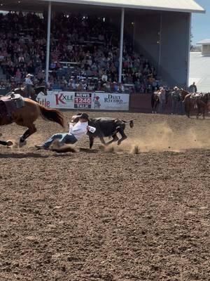 2024 @PRCA ProRodeo Steer Wrestling World Champion J.D. Struxness #rodeo #cowboy #champ #nfr 