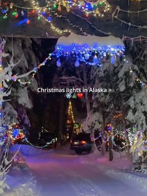 One of our family Christmas traditions 🥰 #christmas #christmas2024 #christmastraditions #familychristmas #christmasinalaska #lifeinalaska #livinginalaska #winterinalaska #alaskalife 