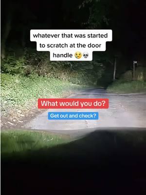 What would you do? #Appalachia #CapCut #appalachian #creepypasta #appalachiantrail #appalachianmountains #supernatural #scaringpeople #horrortiktok #scaryvideos #creepytok #haunted #horrorgame #skinwalker #horrortiktok #conspiracy #misterio #paranormalactiviy #creepytok #historiasdeterror #horrorstory #truecrimetiktok #scarytiktok #hauntedtiktok #paranormaltiktoks #scarystories #wendigo #skinwalkervibes #rake #coyotes #shapeshifter #animals #wilderness #feralpeople 