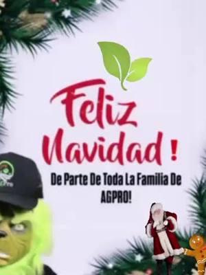 #ayalafarm #piedadayala #ayalafarmspiedadayala #viral #univisionnoticias #viral #univisionnoticias #agpro #mexico #univision #agriculture #caballos #creatorsearchinsights #agproorganics #virgendeguadalupe 