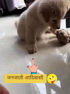 देखनु भो जनजाती आदिबासी #nepalitiktok #nepalimuser #mnonepal #nativenepal #dogsoftiktok #puppytiktok #puppy 