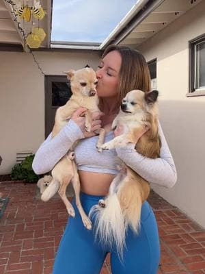 because animals bring me more joy than anything else in the world 🥹 #sandiego #sandiegodogsitter #sandiegodogwalker #sandiegodogboarding #animalloversoftiktok #chihuahuasoftiktok 