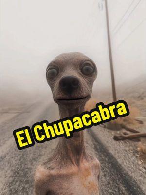 Texas: El Chupacabra | Urban Legends for every state #texas #elchupacabra #urbanlegend #urbanamerica #urbansworld #horror #haunted #horrorai #scary #explained #history #urbanlegendstoreverystate 