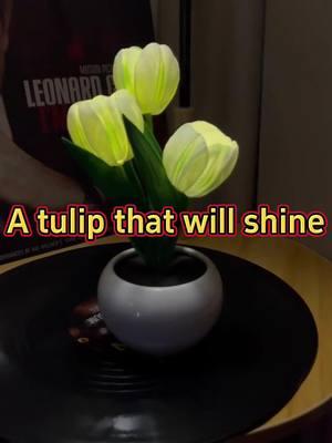 #tulips #light #night #nightlight #lamp #ledlight #usb #flowerlight #flowers #decoration #decor #decorativelights #livingroomdecor #homedecor #housedecor #accessories 