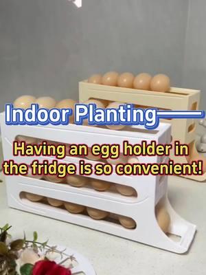 #eggholder #eggstoragebox #kitchenaccessories #decor #fridgestoragebox #spacesaving #kichengadgets #homekitchen #eggbox #falldecor 