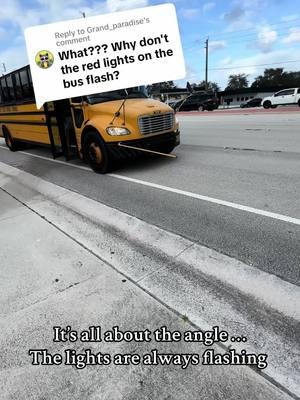 Replying to @Grand_paradise hope this helps #drivesafe #roadsafety #schoolbussesoftiktok #schoolbus #stopforschoolbuses #schoolbusrunners #busrunner 