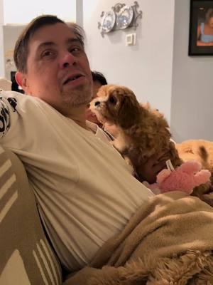 John vs. Jelly Bean and Theo. #specialneedscontentcreator #downsyndromeawareness #funnyvideo #downsyndromerepresentation #cavapoopuppy #puppylife 