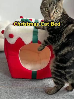 A Christmas surprise for your kitty! This Christmas cat bed is too cute! 🎄🎁#ChristmasCatBed#HolidayCat#CatChristmas#CozyCat#CatLovers