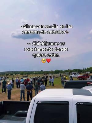 #horses #caballos #racehorses #carrerasdecaballos #horse #laberinto #fyp es ahi fonde mi  corazón es feliz 🥹❤️