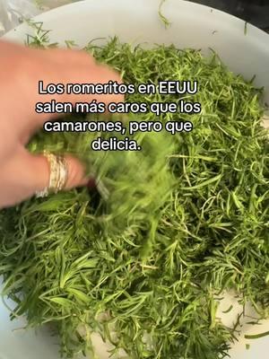 Los romeritos un delicioso platillo de la ciudad as de México, en EEUU los podemos encontrar a un precio alto, sin embargo vale la pena deleitarnos con su sabor en la temporada navideña. #navidad #fhy #viral #romeritos #romeritosconmole #navidad 