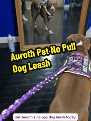 Auroth Pets is my place to shop for my Pups! You know I already got the Best Friend harnesses for Pumpkin and Charmy, along with the extra funny patches! I seen this No Pull Leash, and had to have it, so it matches Charmy's harness, but most importantly, so I don't feel her pulling as much! This is because it has a bungee design that helps absorb the shock of her pulling. It also has a seatbelt attachment on the leash, so you can hook up your fur baby during car rides to ensure their safety! Auroth Pets...you've done it again!  Guys, go click the link in this video to walk your dogs the right way! #fyp #fyf #puppy #dog #trainingtips #DogTraining #tips #aurothpets #dogleash #dogleashtraining #durable #leash #auroth #dogowners #dogmusthaves #puppyessentials #foryoupage #doglove #TikTokShop #tiktokfinds #4upage #nopullleash #bungee #dogaccessories #dogsoftiktok @Aurothpets 