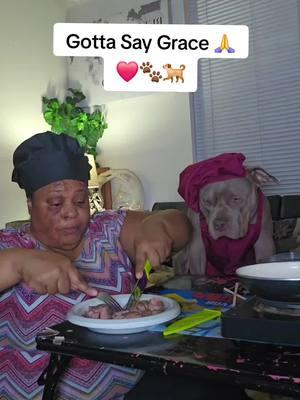 Gotta Say Grace 🙏❤️🐾🐕#tiktokpets #dogsoftiktok #PetsOfTikTok #americanbullybreed #adorabledog #LIVEhighlights #TikTokLIVE #LIVE 