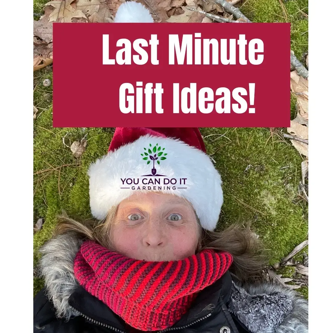 For the gardener(s) in your life. Or you! Check out my Linktree link in my profile for links. Happy holidaze, everyone! -Jess About me: I am a garden coach and consultant and I meet with people in person around the Boston area and virtually everywhere.  #youcandoitgardening #giftideas #gardener #gardeninglife #diylandscaping #gardening #gardeningtipsforbeginners