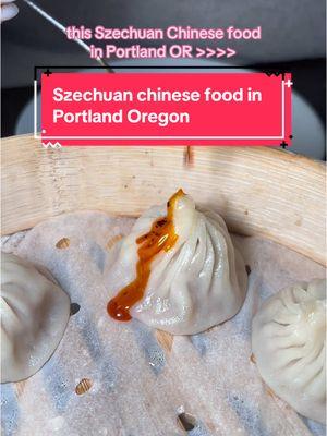 soup dumplings + noods >>>> #pdx #fyp #foryou #eaterpdx #pdxeats #pdxfood #pdxnow #pdxgirl #pdx101 #soupdumplings #chinesefood #noodlepull #portland #portlandoregon #portlandcheck #pnw 