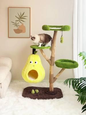 Large Cat Tree Solid Wood Tree Cat Climbing Frame 🥰🥰🥰 🌎Worldwide shipping 🏡🛒 homepage link to place an order🔗: www.kzlaa.com---Cat Tree 🥰🥰🥰 #cats #catsofinstagram #catlover #catlife #catlovers #cats_of_world #catinstagram #fyp #for #foryou #kzlaa #catvideos #catvilla #catinstagram #cattree #tree 