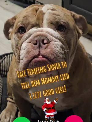 #thebulldogexpress #thehitmangiovanni  #lilyrose  #🔱GυαɾԃιαɳʂOϝTԋҽ💫Gαʅαxყ🔱 #🔱𝐆𝐀𝐋𝐀𝐗𝐘🐶𝐏𝐄𝐓𝐒💫 #Viral #stellamaydivadog #englishbulldoglife #englishbulldogswordwide #englishbulldogspuppies #englishbulldogsofinstagram #englishbulldogsoftiktok #illinoisenglishbulldogs #getabulldogtheysaid #englisbulldoglove #Olivianewtonjohn #Getabulldogtheysaid #earthbornholistic #petsuppliesplus #stellaandchewys