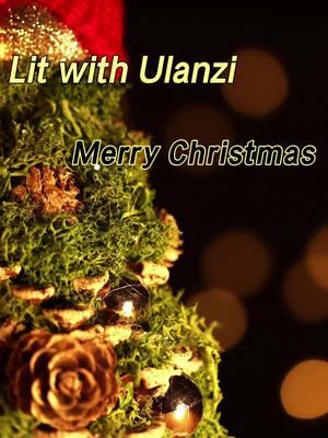 Lit up your Christmas Eve with Ulanzi 20W pocket light. #ulanzi #litwithulanzi #rgblights #pocketlight #lightingsetup #lightingtips #photography #christmas2024 #christmaseve #merrychristmas