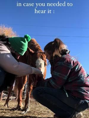 just thought y’all might need to hear this especially with it being NAVLE season and all. you got this i promise. all of a sudden grades mean nothing and its all about the patient in front of you. remember you’re doing it for THEM. 🐎🩺🐾 . .  #futuredrhannahmae  #savethehorsedocs  #equinevet  #horsedoctor  #veterinarian #doctor #vettok #horsevet #equestrian #livestock #rodeo #western #horse #ranch #stem #branding #ranching #cowpoke #vetschool  #vaccines #cattle #vetfluencer #socialmedia #influencer #equinemassage #equineambo #equinefield #MentalHealth #nomv 