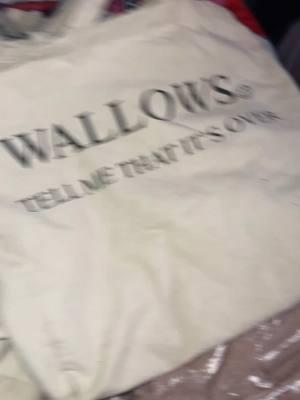 merry christmas eve eve @wallowsmusic #totebags#wallows#wallowsmusic#colepreston#dylanminnette#braedenlemasters#fyp#foryoupage @Wallows Info #model#modeltour#tmtio 