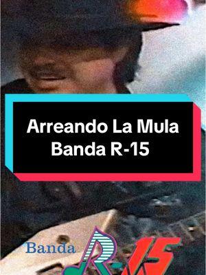 Arreando La Mula 🫏 Banda R-15 #arreandolamula #arreandolamulachallenge #bandar15  #technobanda #tecnobanda #country #countrymusic 