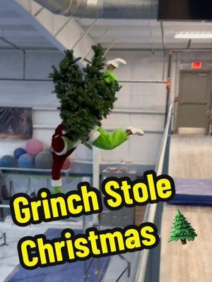 HOW THE GRINCH STOLE CHRISTMAS #merrychristmas #grinch #santa #fail #parkour @David Baldwin 