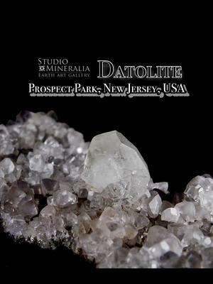 Datolite on a field of smaller Datolite. Prospect Park, New Jersey, USA. #privatecollection Studio Mineralia 📷link in bio 📷 Earth Art Gallery #crystals #crystalcollection #mineralcollection #mineralcollector #newjersey #homestate #crystalcollector #crystalsoftiktok  #mineraltok #mineral #crystallover #crystallivesales #crystaltok #fyp #crystaltok🔮 #crystaltiktok #crystaltokfyp