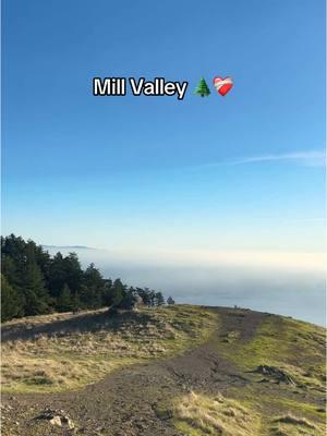 So much love for thjs place #millvalley #california #northerncalifornia #travel #travelvlog #fyp #xyzbca #viral