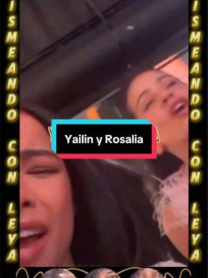 Yailin La Más Viral junto a Rosalía #chismeandoconleya #yailinlamasviral #rosalia #concierto 